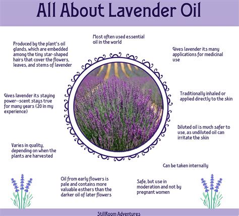 Lavender and Dreams: Tapping into its Magical Effects on Sleep and Relaxation.